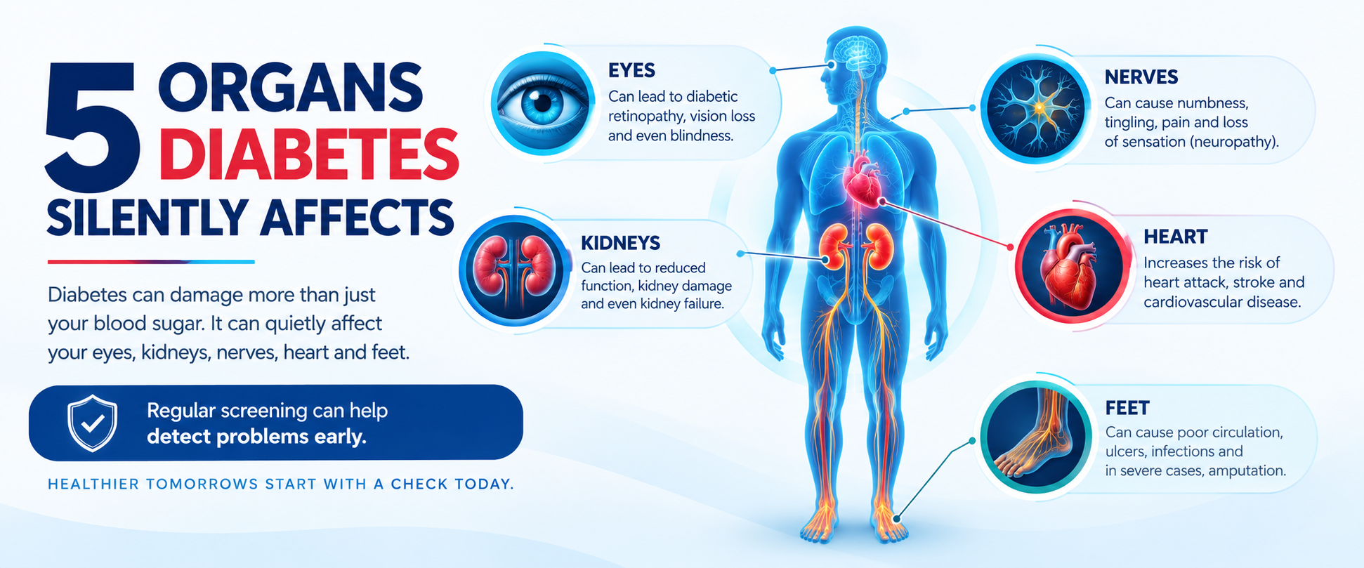 Diabetes complication screening for eyes, kidneys, nerves, heart and feet